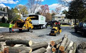 Best Hazardous Tree Removal  in Otterbe, IN