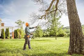 Tree and Shrub Care in Otterbein, IN